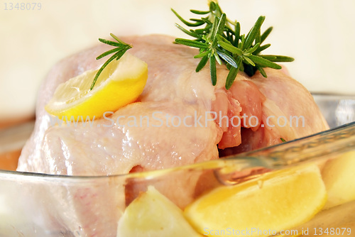 Image of Raw chicken