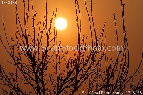 Image of Sunset