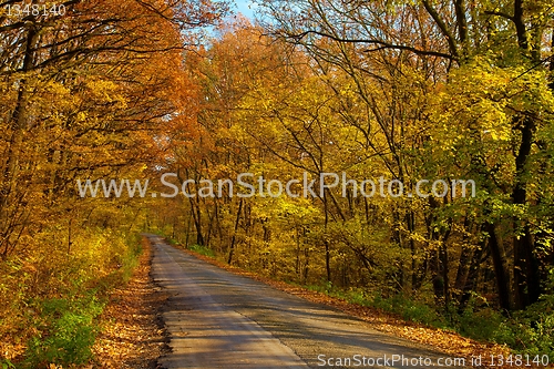 Image of Autumn Road