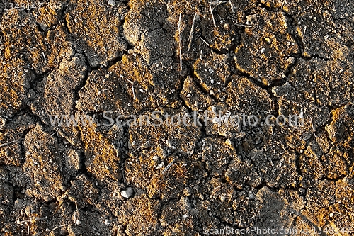 Image of Soil