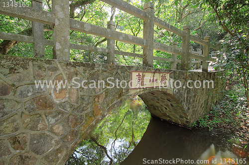 Image of Bridge in the forest