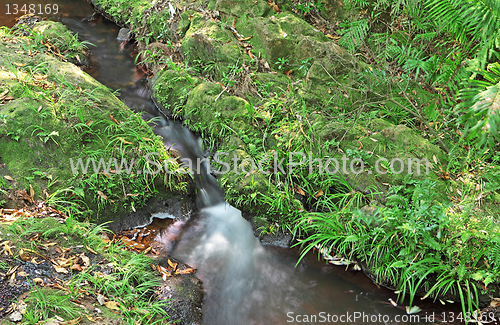 Image of Mountain River