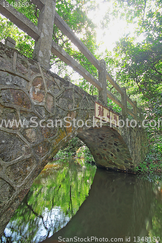 Image of Bridge in the forest