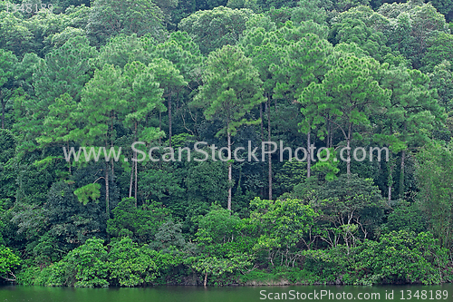 Image of Landscape of trees with reflection on lake under blue sky. 