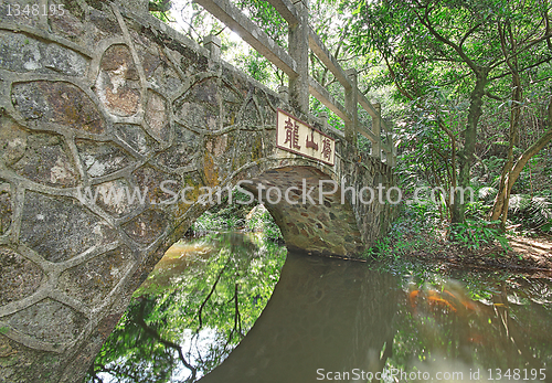 Image of Bridge in the forest