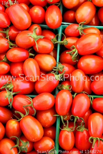 Image of Cherry Tomatos