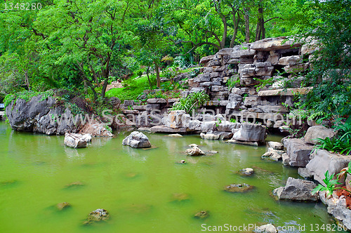 Image of Green Japanese pond