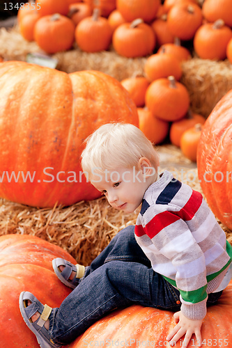 Image of toddler at the pumpkin patch
