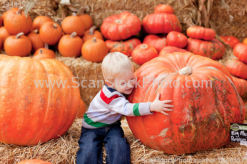 Image of toddler at the pumpkin patch