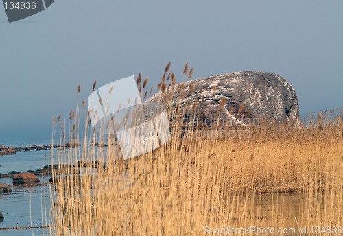 Image of Ehalkivi (Sunset Glow Boulder)