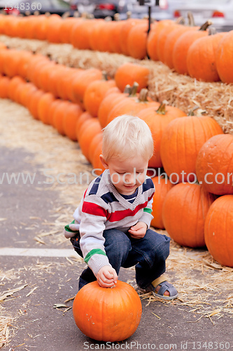 Image of toddler at the pumpkin patch