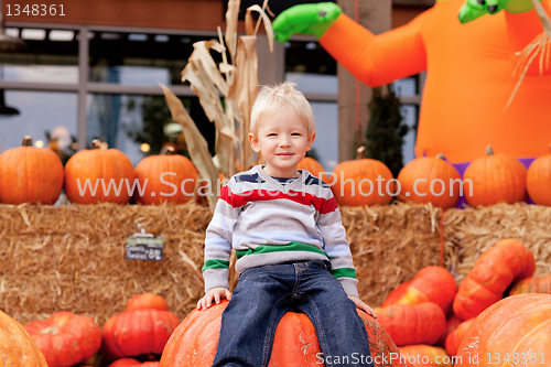Image of toddler at the pumpkin patch