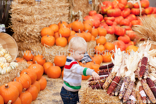Image of toddler at the pumpkin patch