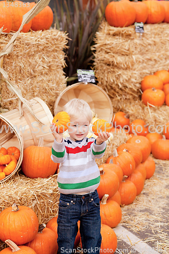 Image of toddler at the pumpkin patch