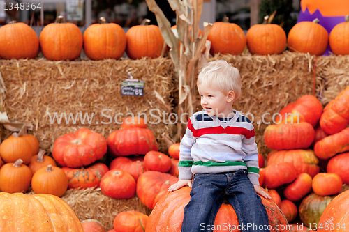 Image of toddler at the pumpkin patch