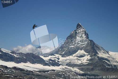 Image of Matterhorn and a bird