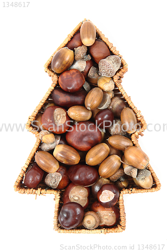 Image of  christmas nuts tree