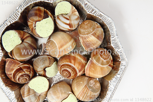 Image of snails as french gourmet food