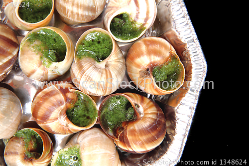 Image of snails as french gourmet food
