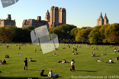 Image of Sheep Meadow, Central Park, NYC