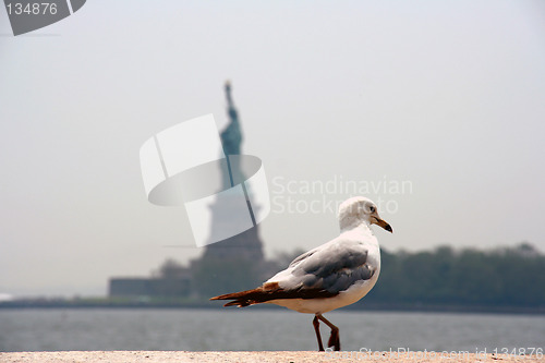 Image of Statue of Liberty