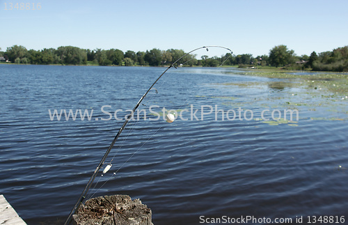 Image of Fishing vacation in Illinois