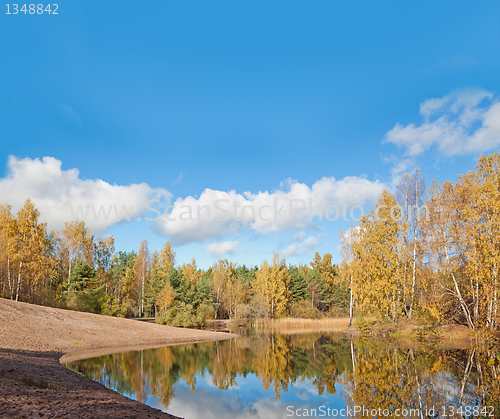 Image of Autumn landscape at wood lake