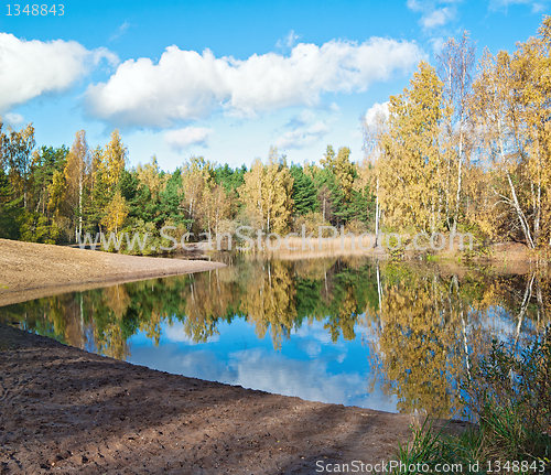 Image of Autumn landscape at wood lake