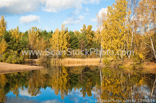 Image of Autumn landscape at wood lake