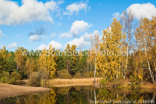 Image of Autumn landscape at wood lake