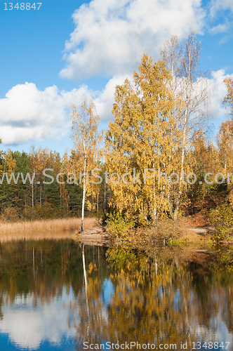 Image of Autumn landscape at wood lake