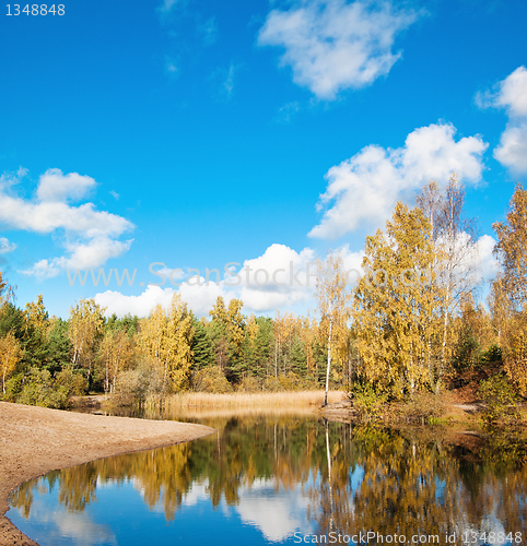 Image of Autumn landscape at wood lake