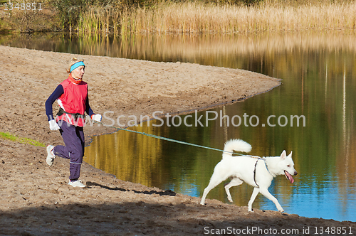 Image of The sports woman with a dog run along coast of the rivers