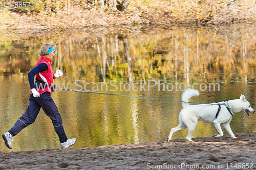 Image of The sports woman with a dog run along coast of the rivers
