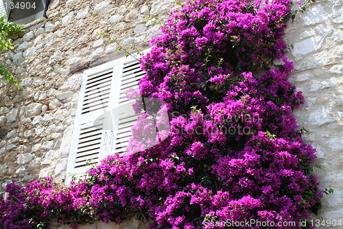 Image of Window in Provence