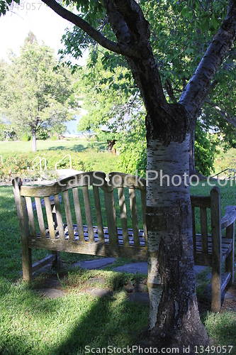 Image of Bench