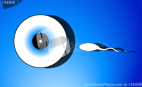 Image of Sperm And Egg 4