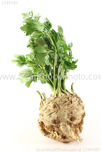 Image of Celery