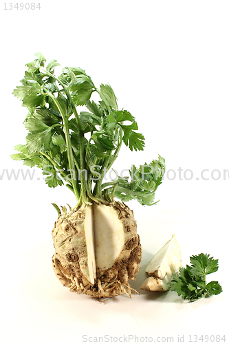 Image of Celery
