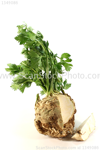 Image of Celery