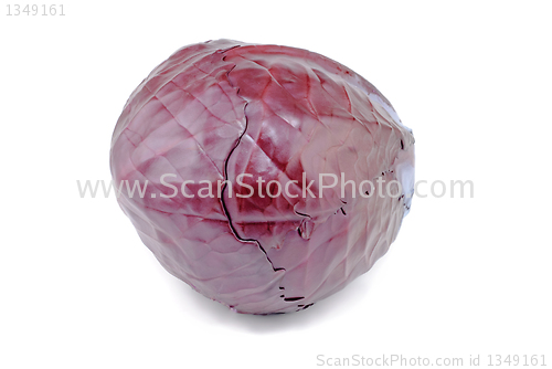 Image of red cabbage closeup isolated on white 