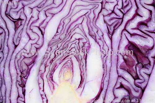 Image of Slices of violet cabbage  close up as  background 