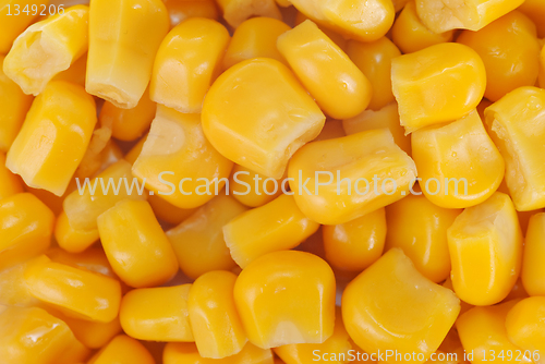 Image of Sweet  marinated whole kernel corn  as  background