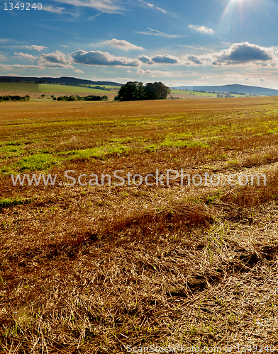 Image of Harvested Field