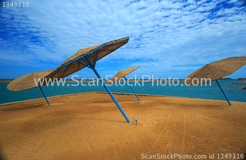 Image of Umbrella