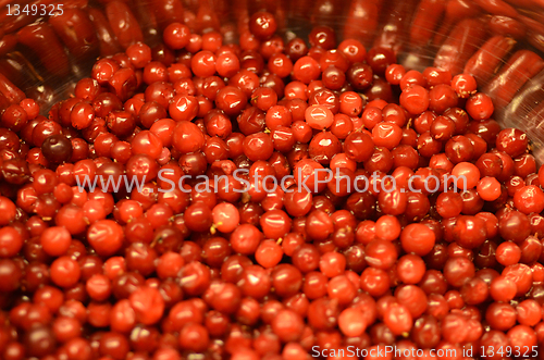 Image of Lingonberries