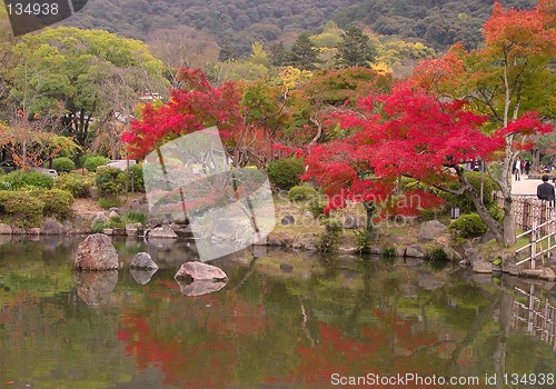 Image of Japanese fall pond