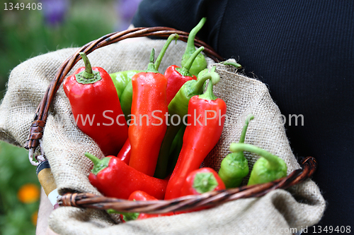 Image of Man holding a basket with red and green peperoni