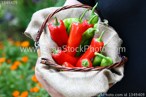 Image of Man holding a basket with red and green peperoni