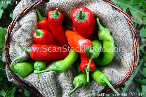 Image of Basket of green and red peperoni